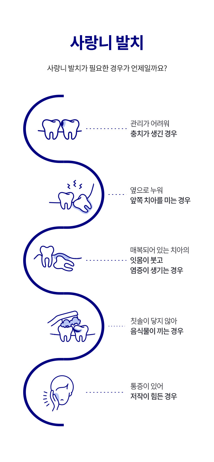 사랑니 발치_3_사랑니 발치